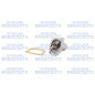 TI 68 87D BTT SOLUTION Termostato motore