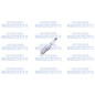 CANDELA ACCENSIONE NGK T55 - 1048 CANDELA ACCENSIONE NGK T55 - 1048