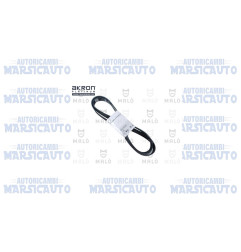 MALO - 3PV668 AKRON CINGHIA POLY-V