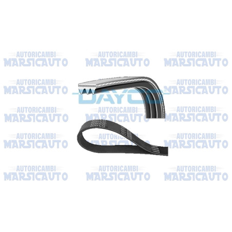 DAYCO 3PK788 Cinghia servizi