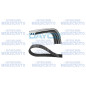 DAYCO 3PK788 Cinghia servizi