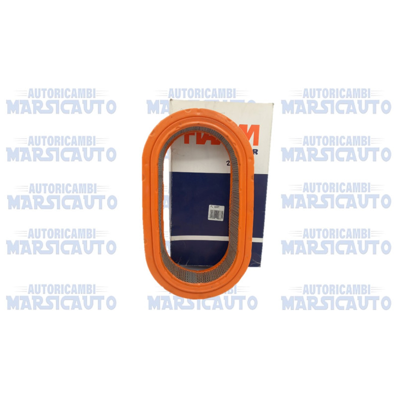 Filtro Aria Motore Fiaam Codice.FL6697