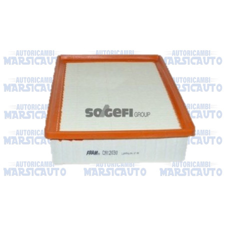 FRAM CA12030 Filtro aria
