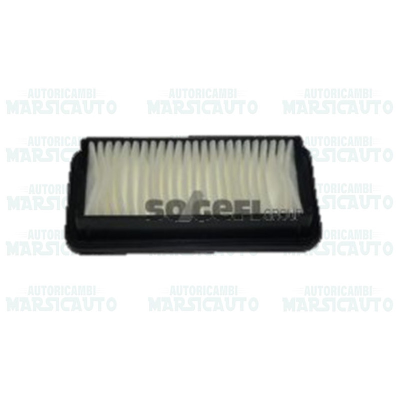 CA10201 FRAM Filtro aria