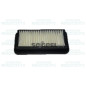 CA10201 FRAM Filtro aria