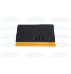 CA10198 FRAM Filtro aria