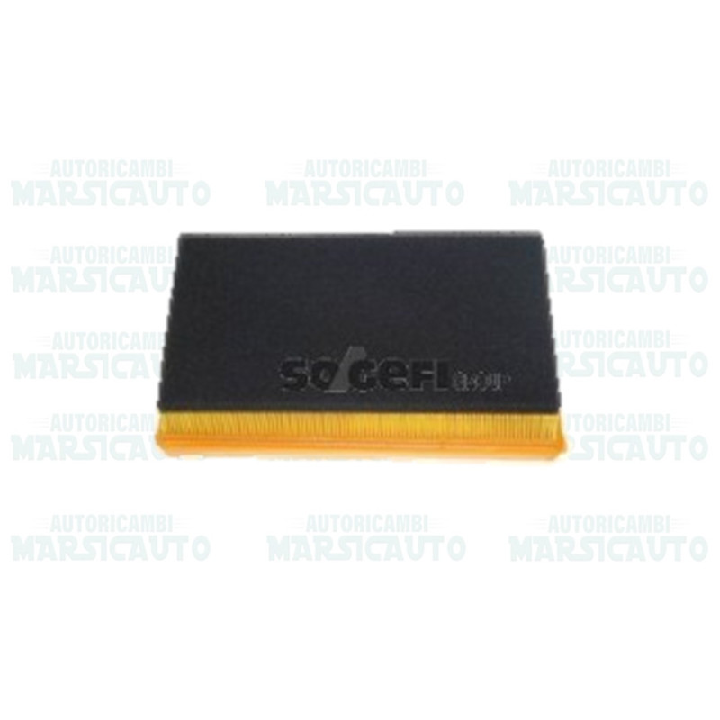 CA10198 FRAM Filtro aria