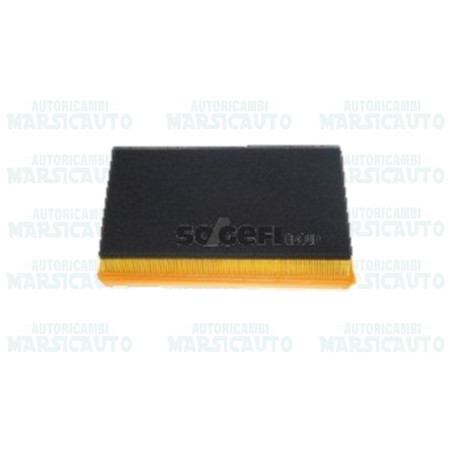 CA10198 FRAM Filtro aria