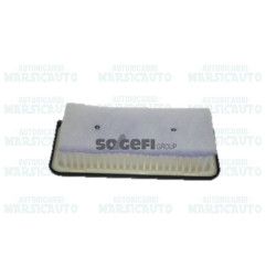 CA10296 FRAM Filtro aria