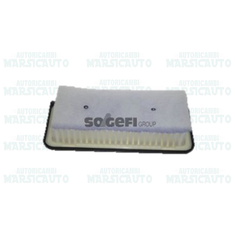CA10296 FRAM Filtro aria