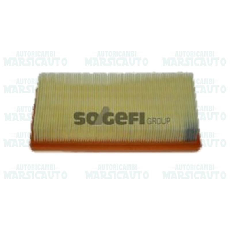 CA10333 FRAM Filtro aria