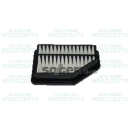 CA10412 FRAM Filtro aria