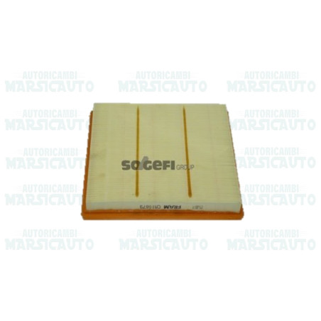 CA10879 FRAM Filtro aria