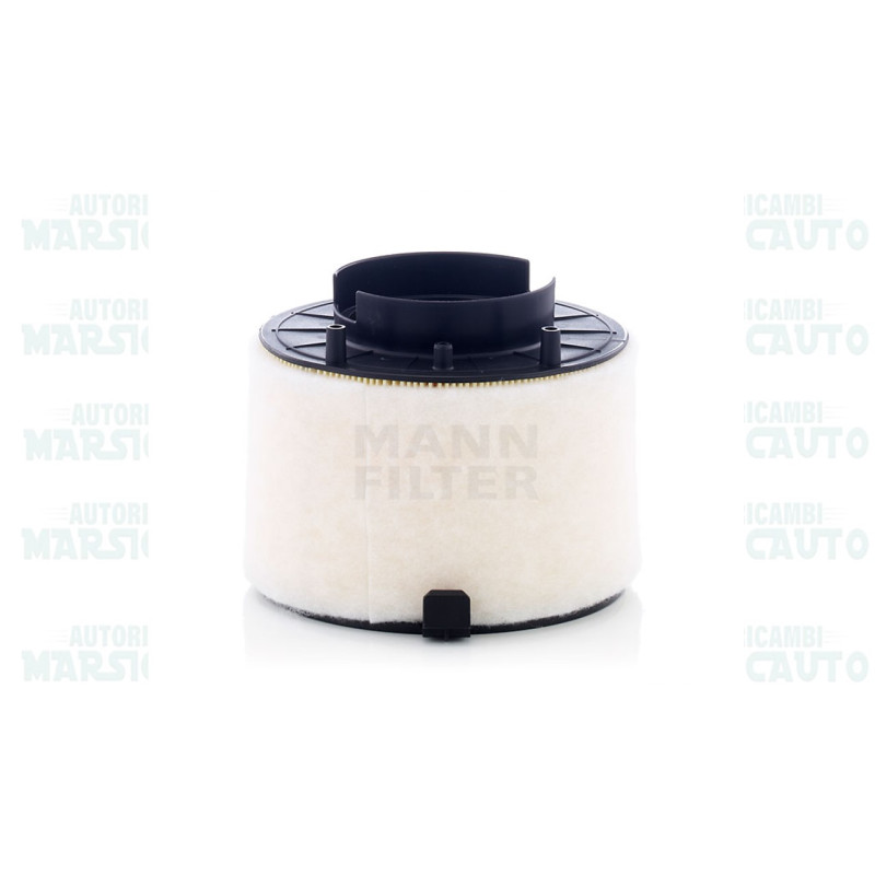 C 17 009 MANN-FILTER Filtro aria