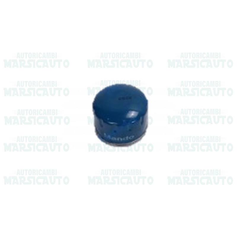 FILTRO OLIO FIAAM FT5118