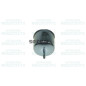 G7099 FRAM Filtro carburante