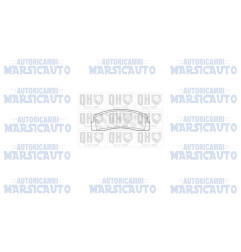 Kit pastiglie freni QUINTON HAZELL "BP256"