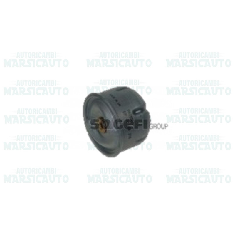 P10291 FRAM Filtro olio