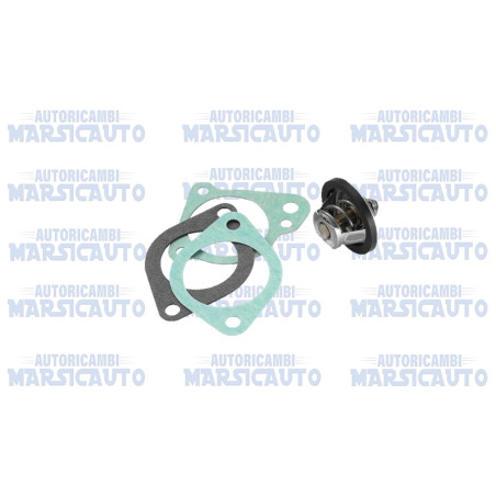 3021.88D50 WAHLER Termostato motore